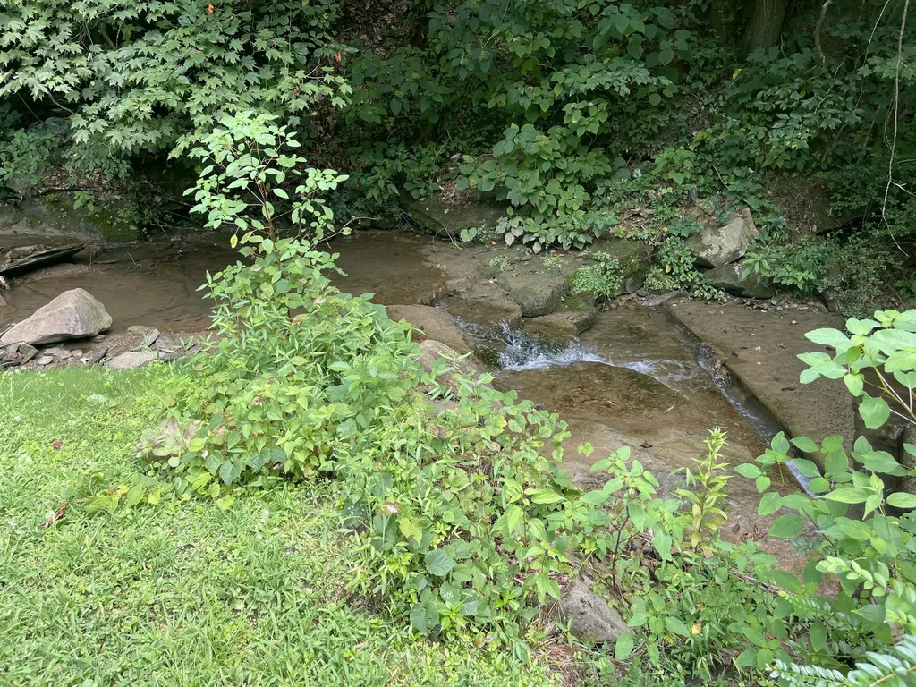 238 Coal Stone Branch Road Miracle KY 40856