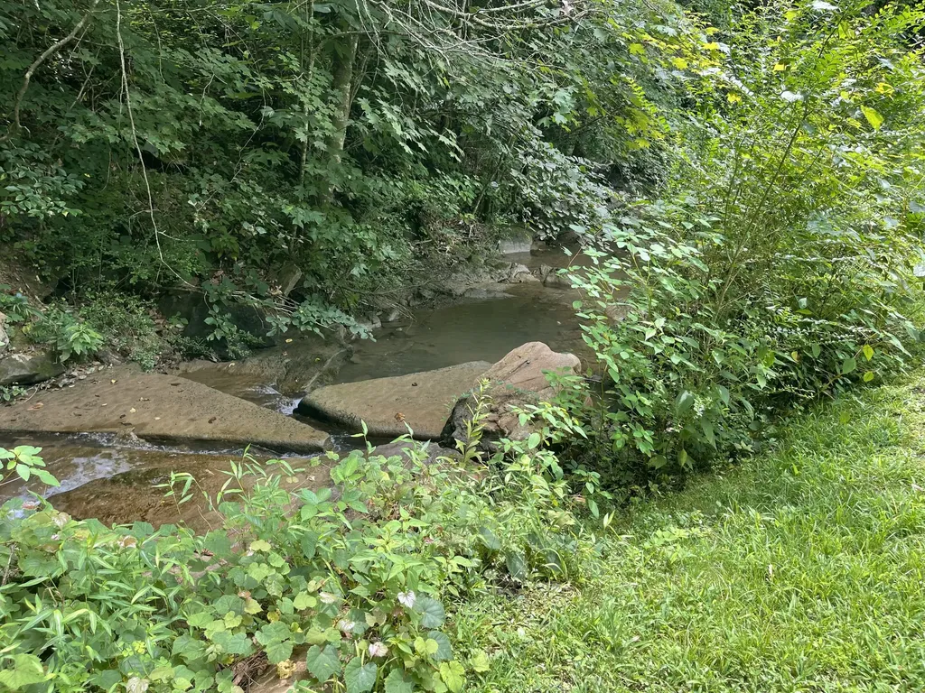 238 Coal Stone Branch Road Miracle KY 40856