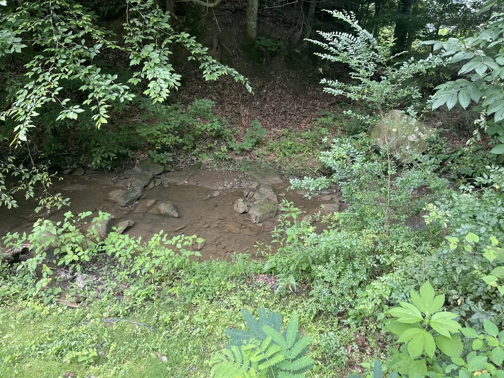 238 Coal Stone Branch Road Miracle KY 40856