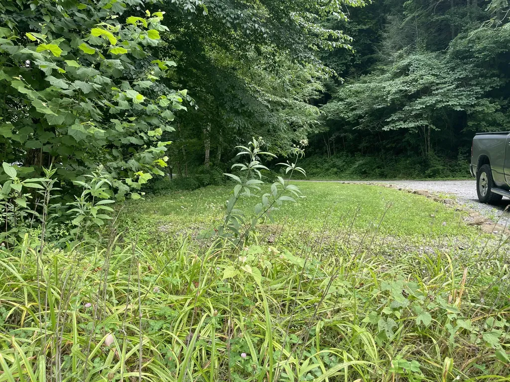 238 Coal Stone Branch Road Miracle KY 40856