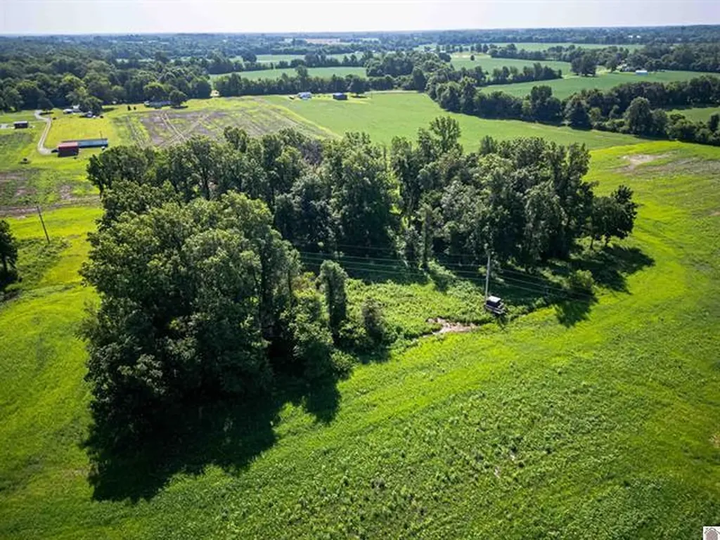 3697 County Line Road Kevil KY 42053