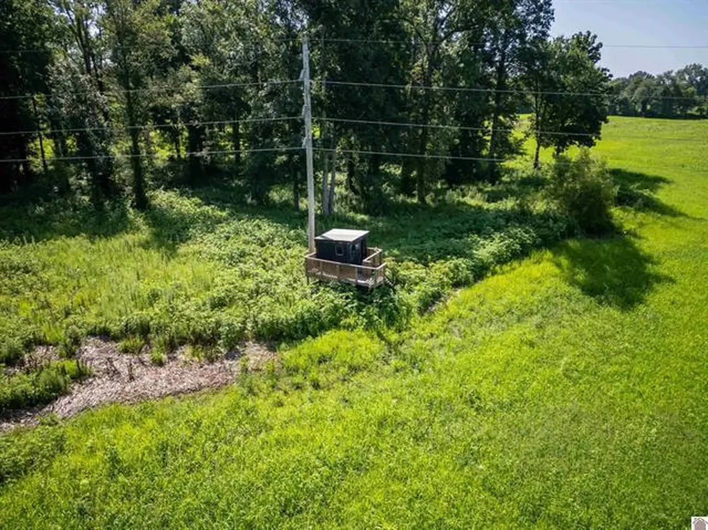 3697 County Line Road Kevil KY 42053