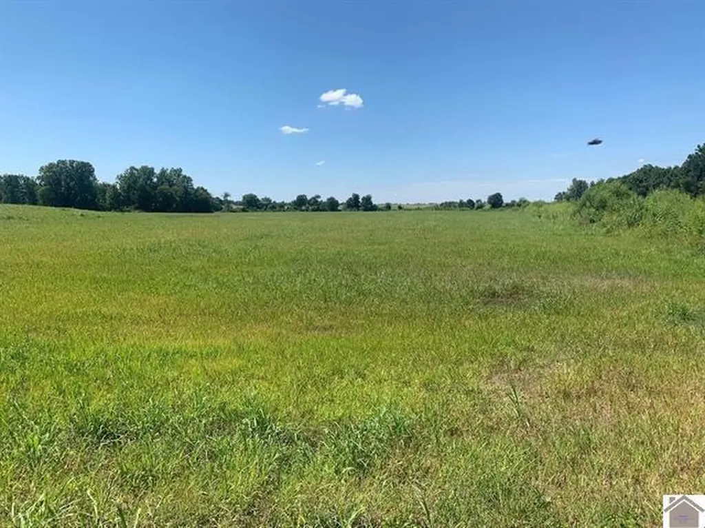 3697 County Line Road Kevil KY 42053