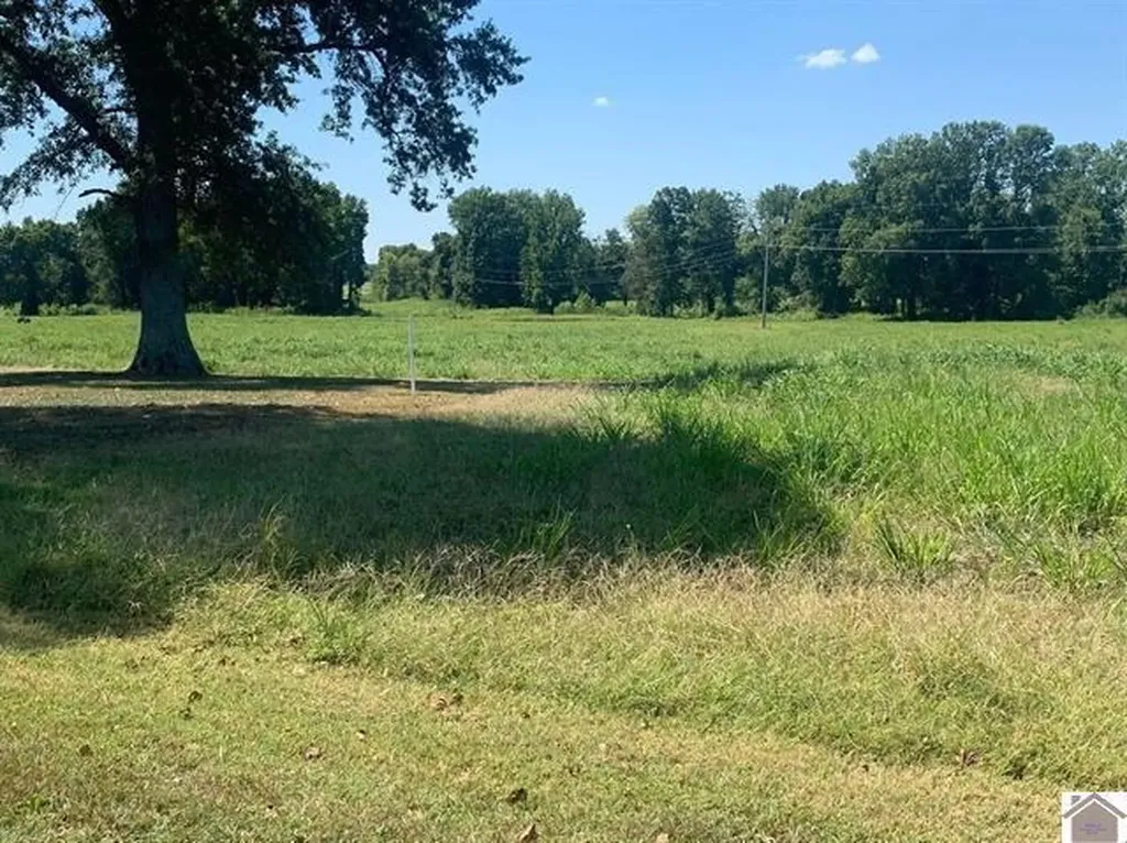 3697 County Line Road Kevil KY 42053