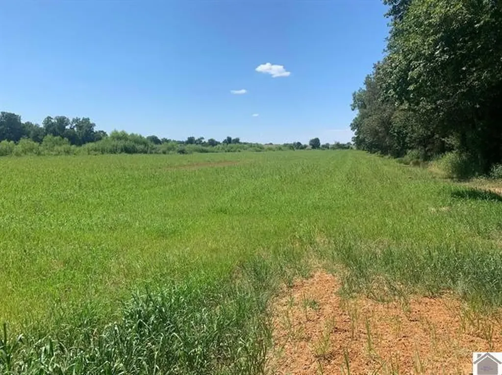 3697 County Line Road Kevil KY 42053