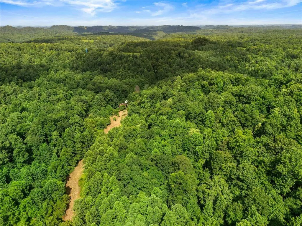 2661 Buncomb Road Tyner KY 40486