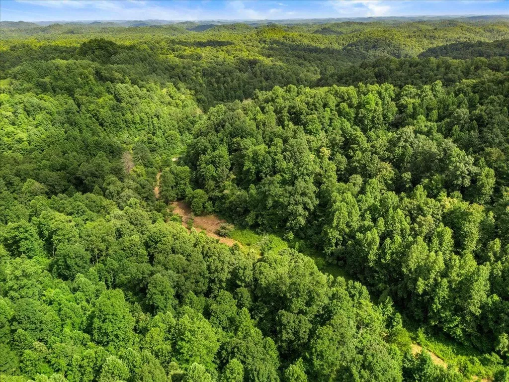 2661 Buncomb Road Tyner KY 40486