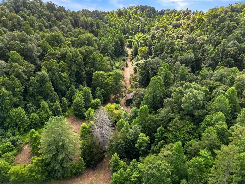 2661 Buncomb Road Tyner KY 40486
