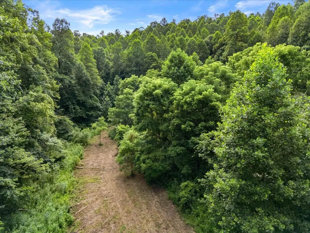 2661 Buncomb Road Tyner KY 40486