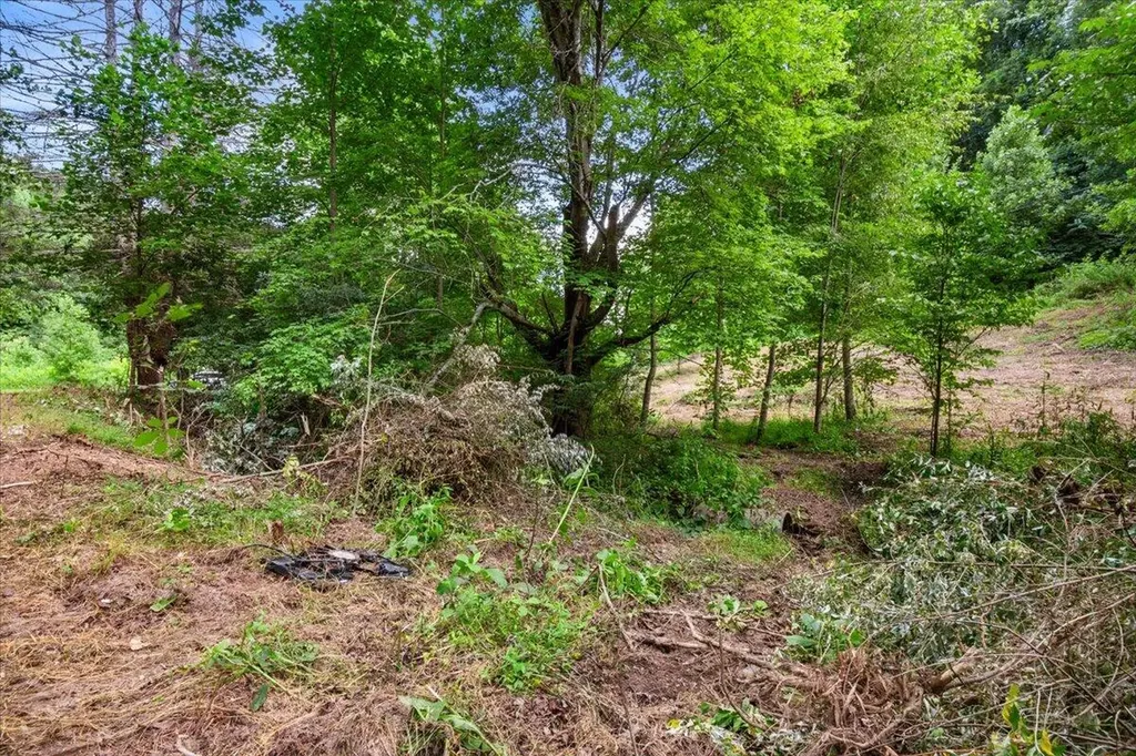 2661 Buncomb Road Tyner KY 40486