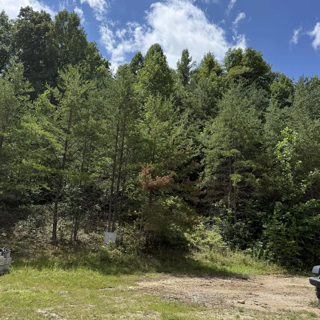 3900 Open Fork Road Morehead KY 40351