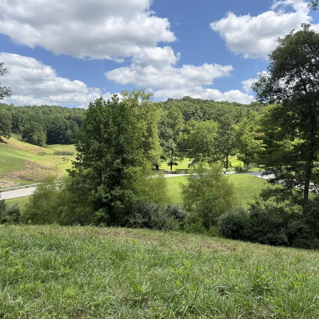3900 Open Fork Road Morehead KY 40351
