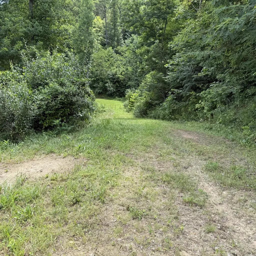3900 Open Fork Road Morehead KY 40351