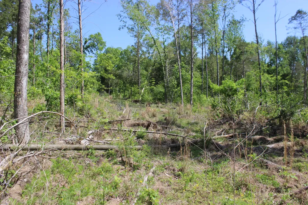 0 T S Chester - Tract A Road Benton KY 42025