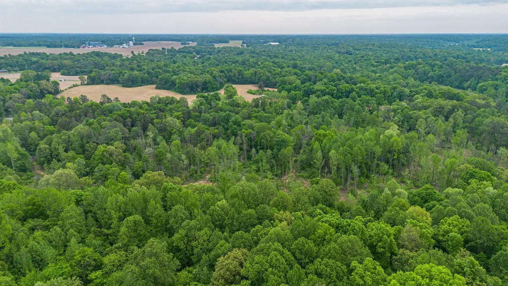 0 T S Chester - Tract A Road Benton KY 42025