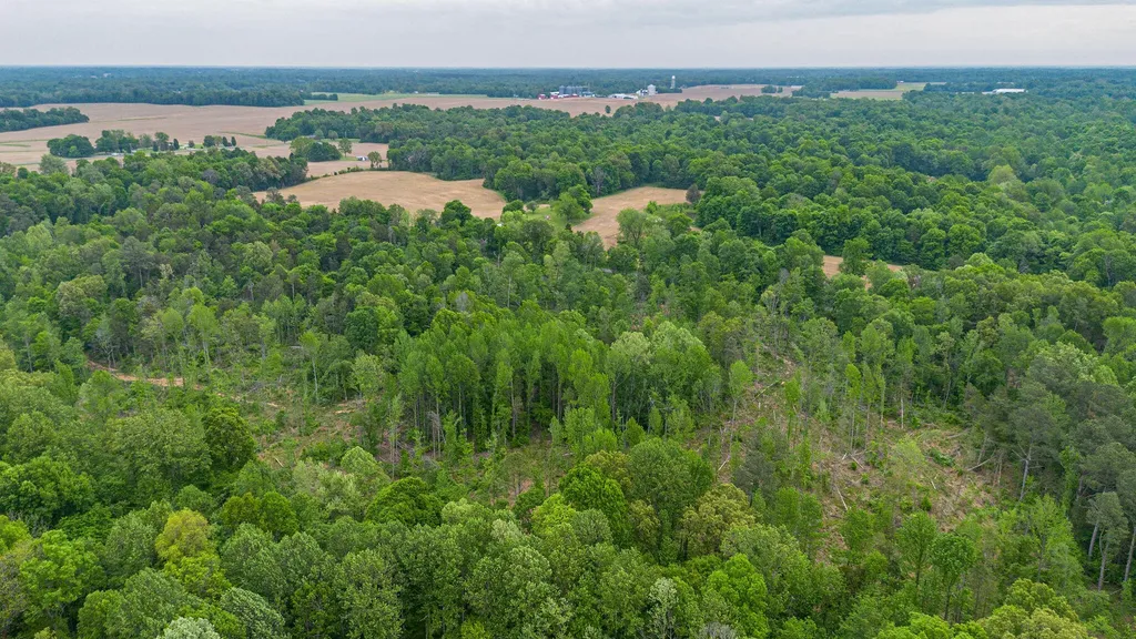 0 T S Chester - Tract A Road Benton KY 42025