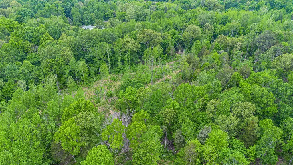 0 T S Chester - Tract A Road Benton KY 42025