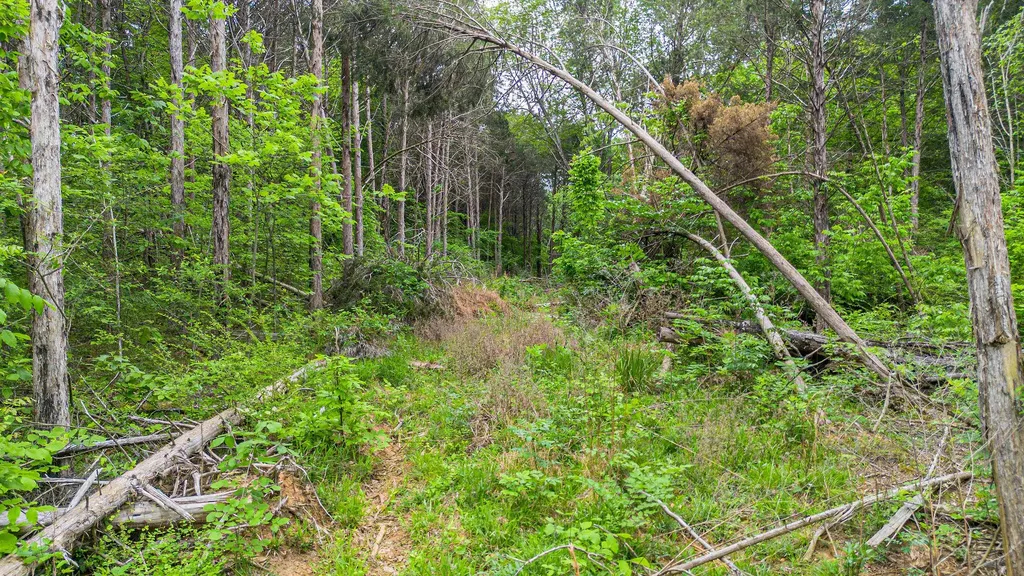 0 T S Chester - Tract A Road Benton KY 42025