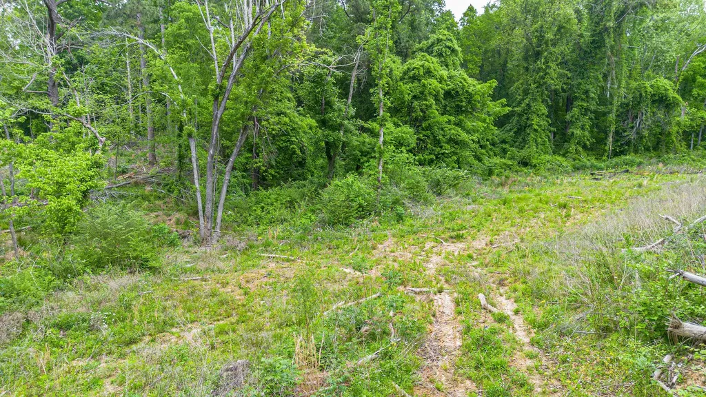 0 T S Chester - Tract A Road Benton KY 42025