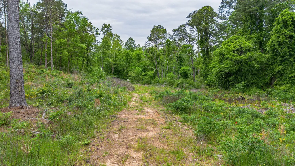 0 T S Chester - Tract A Road Benton KY 42025