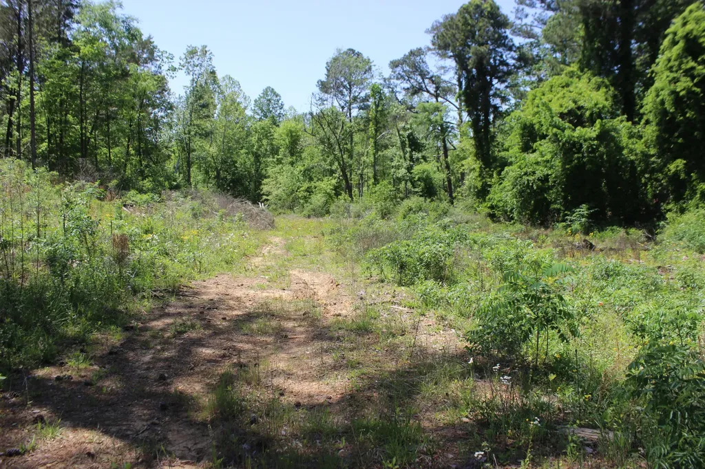 0 T S Chester - Tract A Road Benton KY 42025