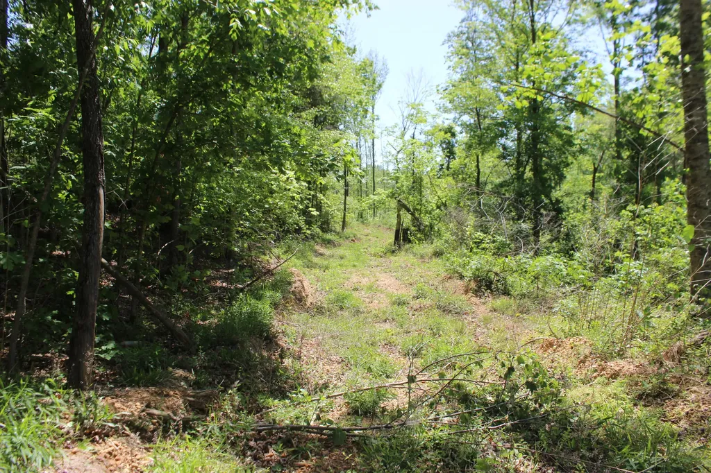 0 T S Chester - Tract A Road Benton KY 42025