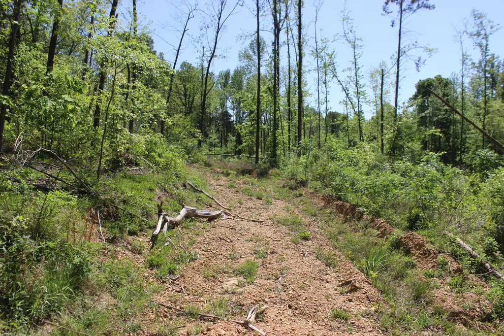 0 T S Chester - Tract A Road Benton KY 42025