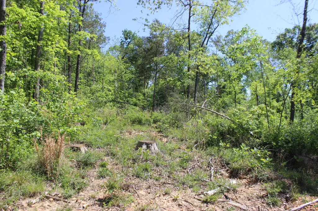 0 T S Chester - Tract A Road Benton KY 42025