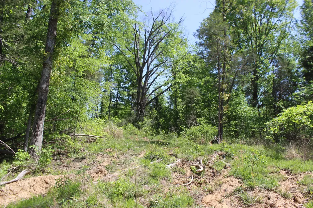 0 T S Chester - Tract A Road Benton KY 42025