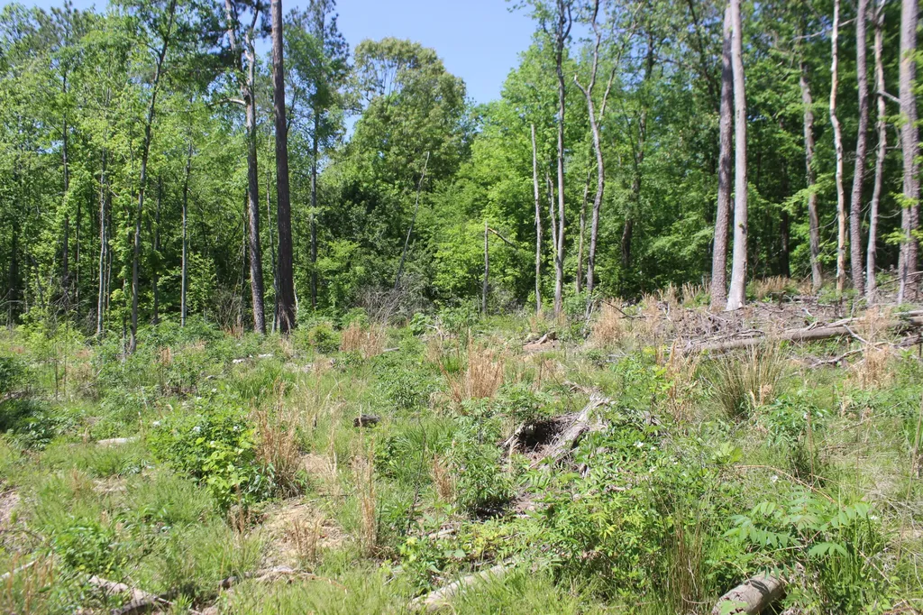 0 T S Chester - Tract A Road Benton KY 42025