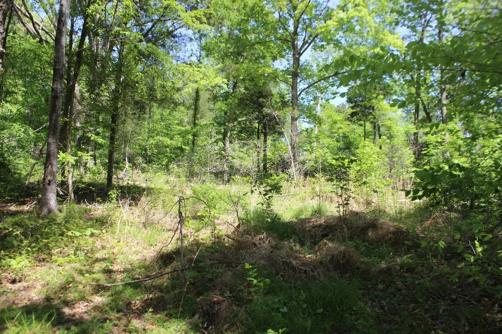 0 T S Chester - Tract A Road Benton KY 42025