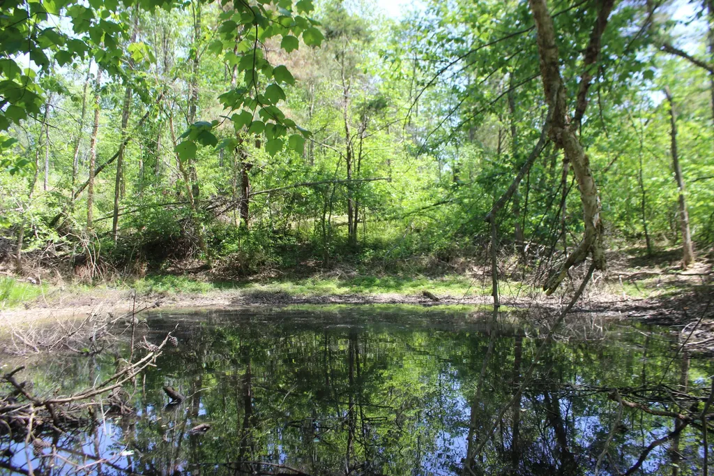0 T S Chester - Tract A Road Benton KY 42025