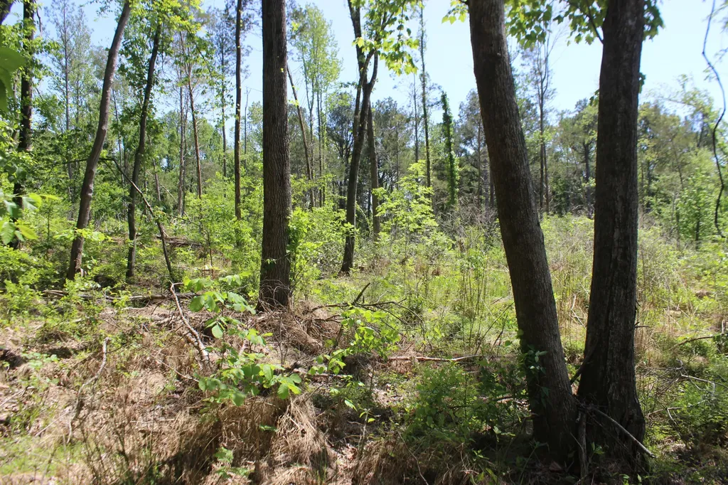 0 T S Chester - Tract A Road Benton KY 42025