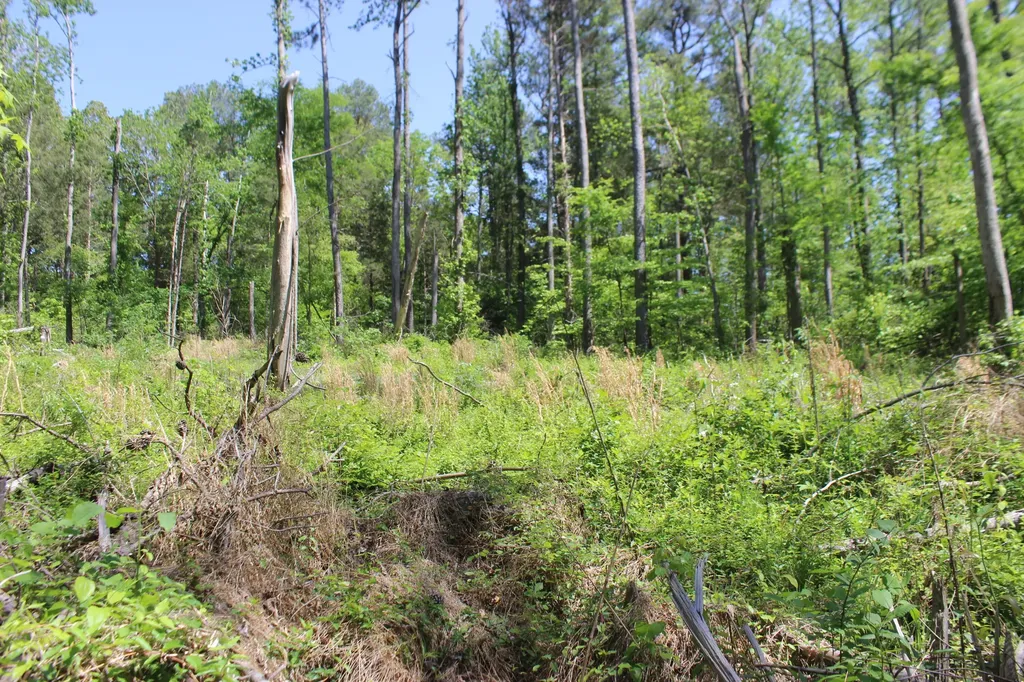 0 T S Chester - Tract A Road Benton KY 42025