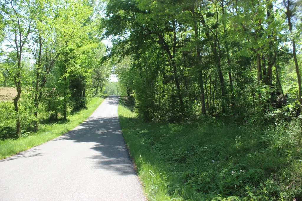 0 T S Chester - Tract A Road Benton KY 42025