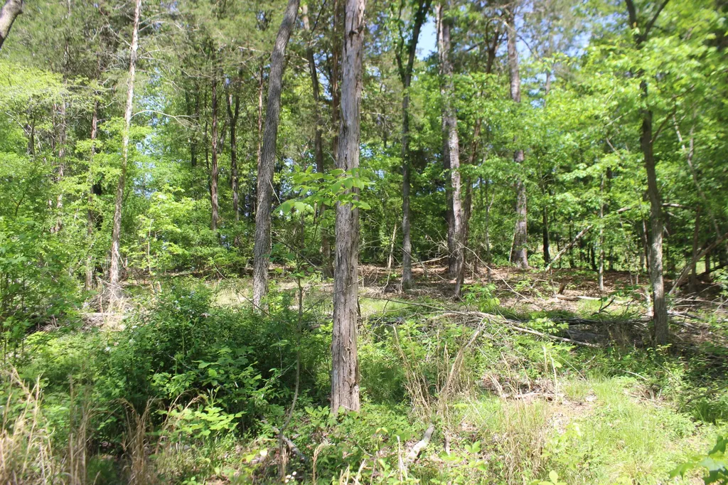 0 T S Chester - Tract A Road Benton KY 42025