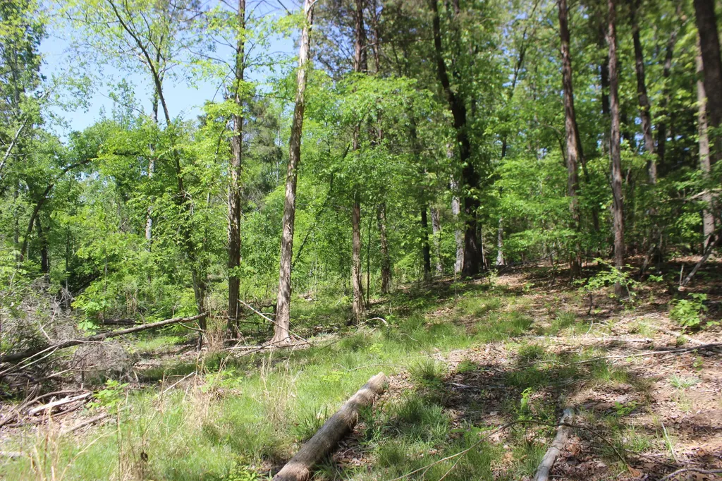 0 T S Chester - Tract A Road Benton KY 42025