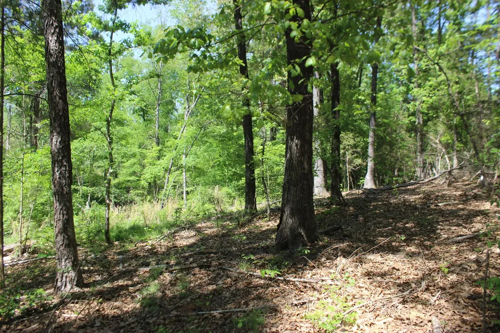 0 T S Chester - Tract A Road Benton KY 42025