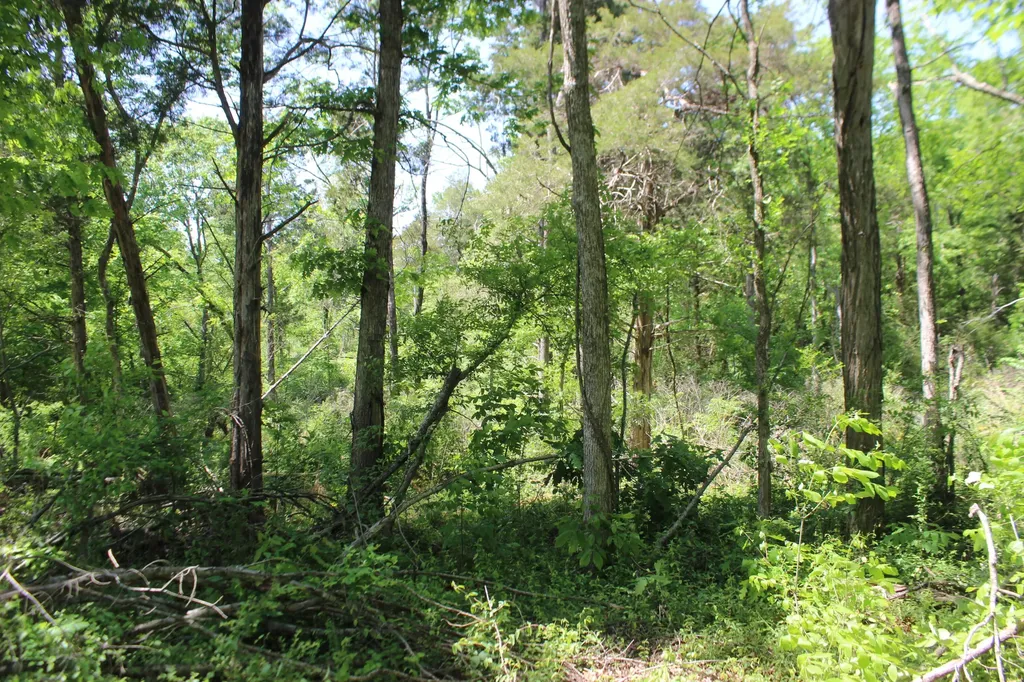 0 T S Chester - Tract A Road Benton KY 42025