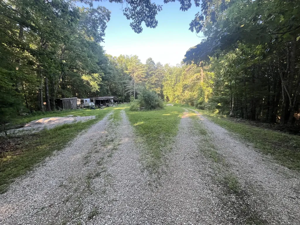 184 Catfish Cove Road Cove Pine Ridge KY 41360