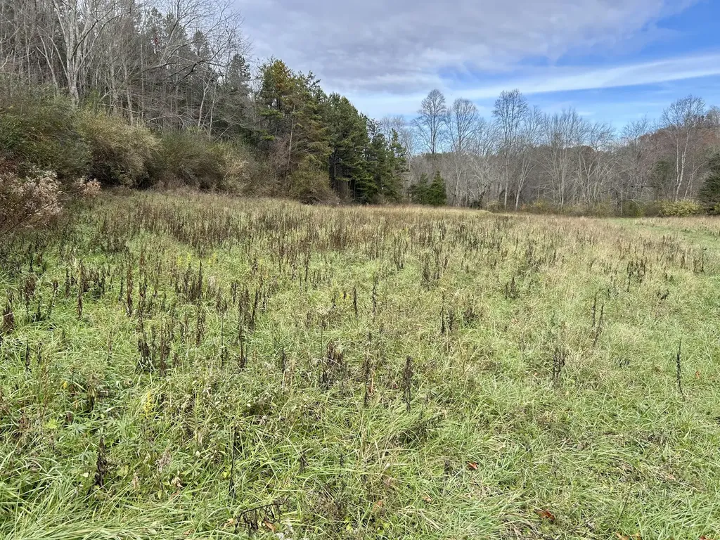 319 Highway 472 Highway Manchester KY 40962