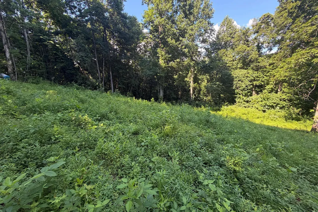 4813 Brammer Hill Ridge Road Monticello KY 42633