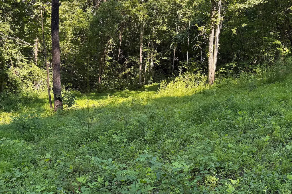 4813 Brammer Hill Ridge Road Monticello KY 42633