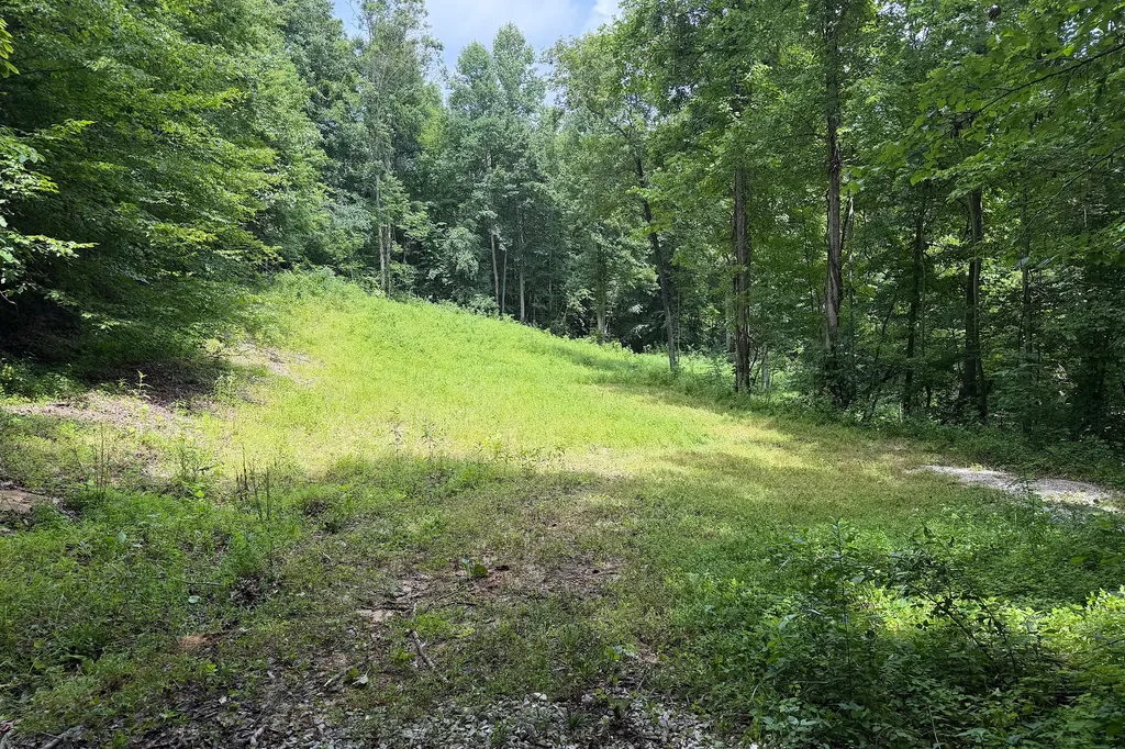 4813 Brammer Hill Ridge Road Monticello KY 42633