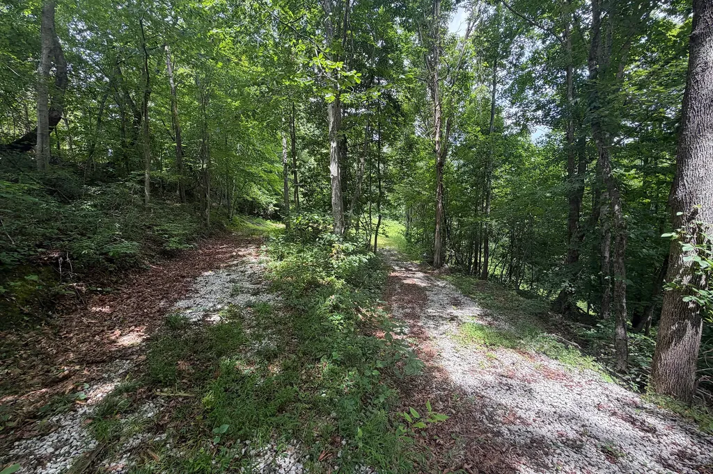 4813 Brammer Hill Ridge Road Monticello KY 42633