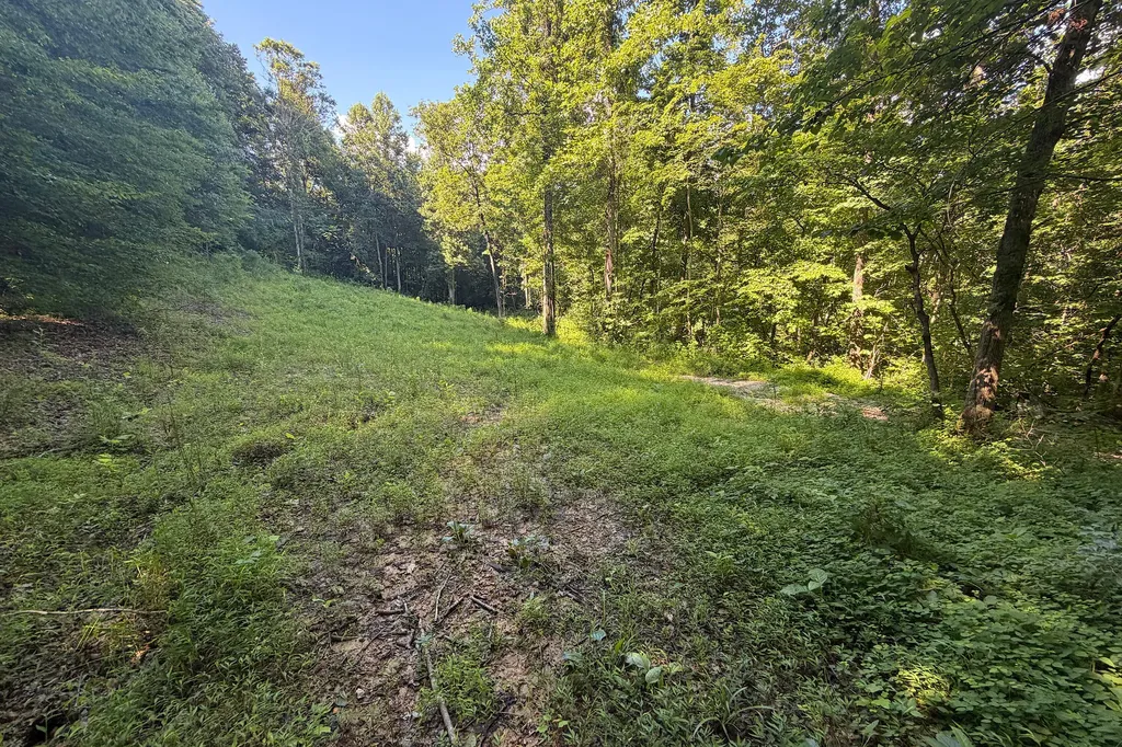 4813 Brammer Hill Ridge Road Monticello KY 42633