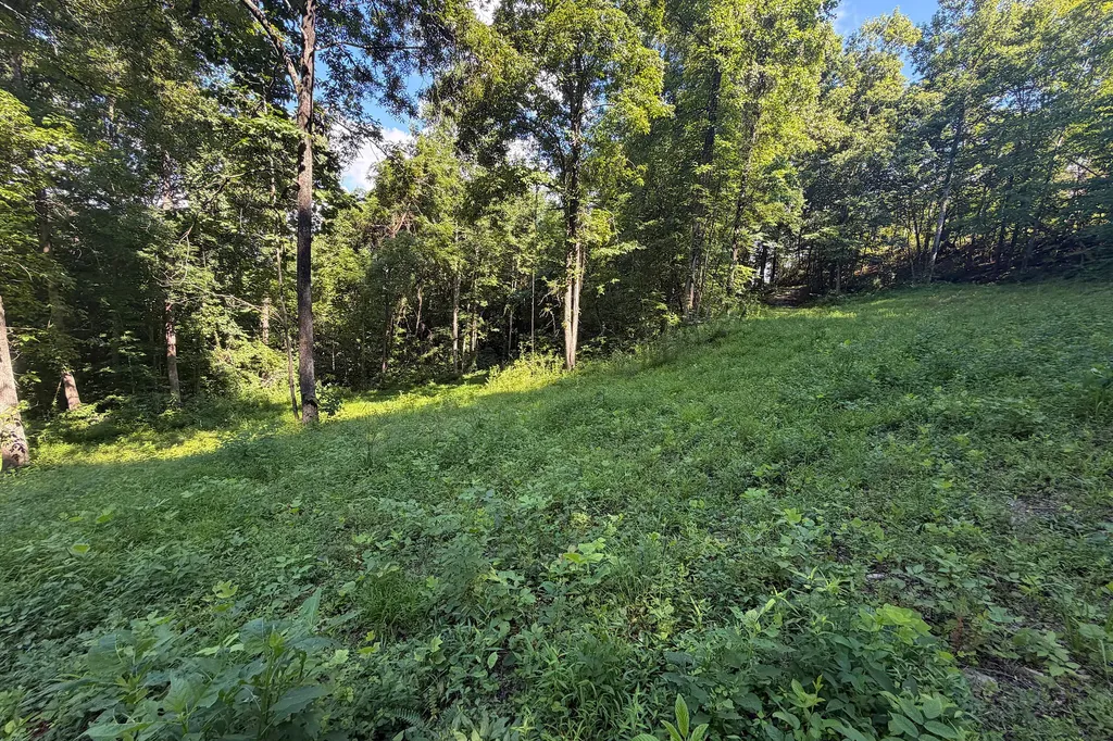 4813 Brammer Hill Ridge Road Monticello KY 42633