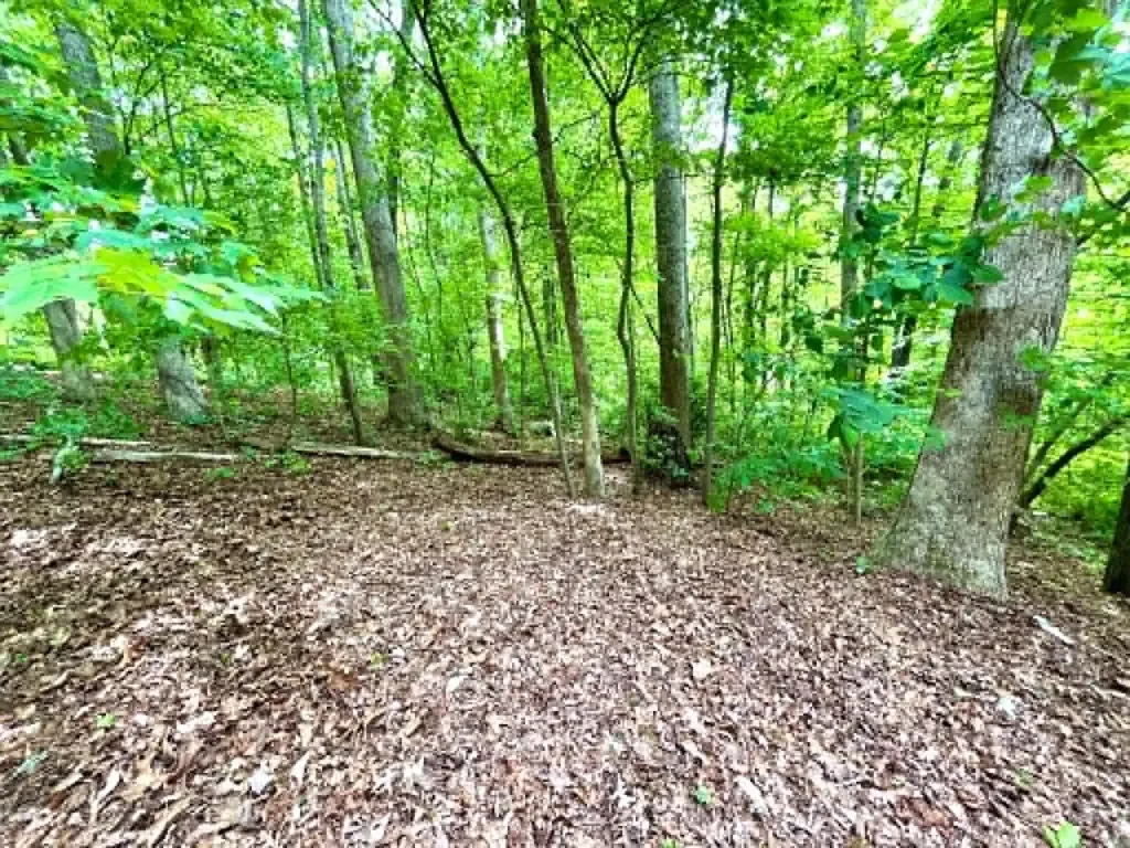 Pineville KY 40977