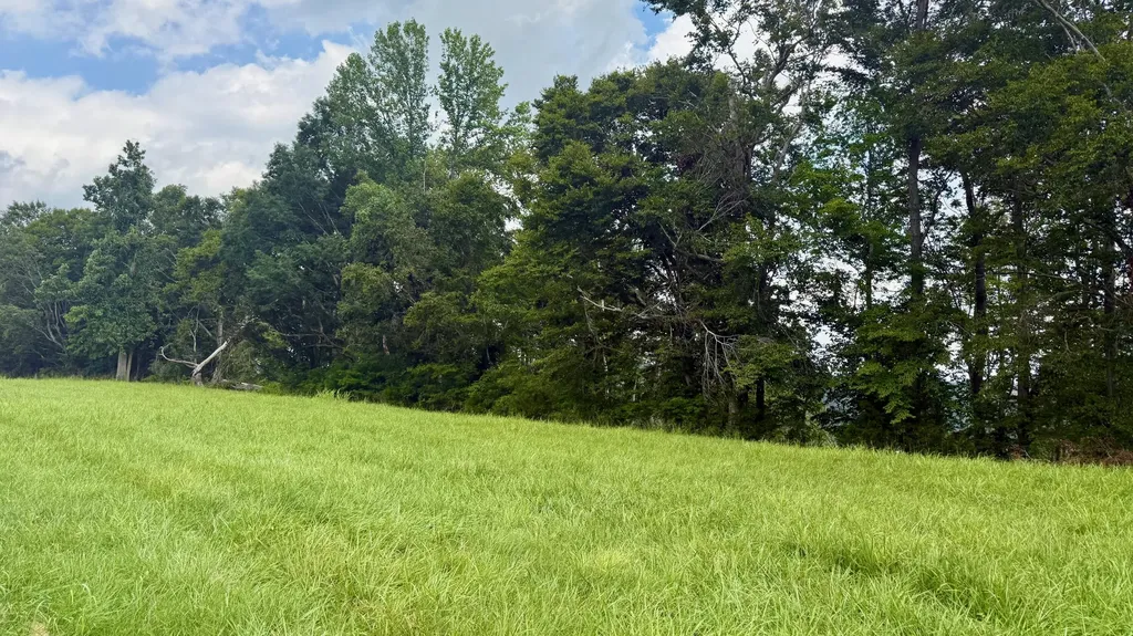 73 Meadows Loop Russell Springs KY 42642