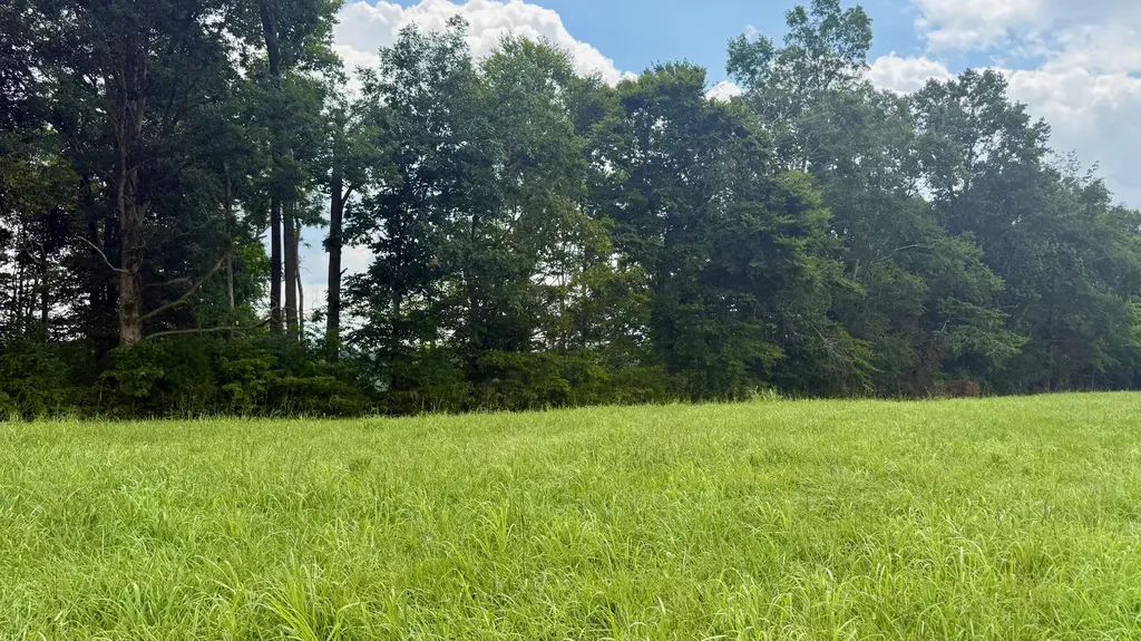 73 Meadows Loop Russell Springs KY 42642